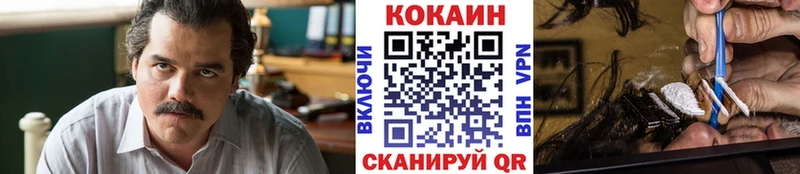 COCAIN Fish Scale  Заполярный 