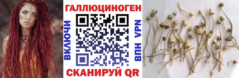 магазин продажи наркотиков Заполярный Галлюциногенные грибы прущие грибы