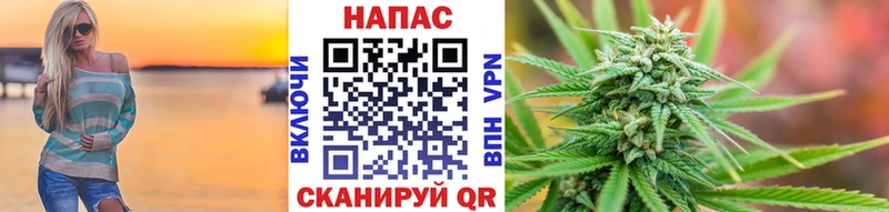 Каннабис ГИДРОПОН  omg tor  Заполярный 